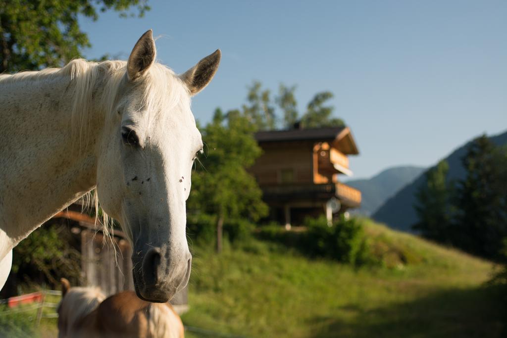 Ferienhaus Oetztal Hotel Sautens Kültér fotó