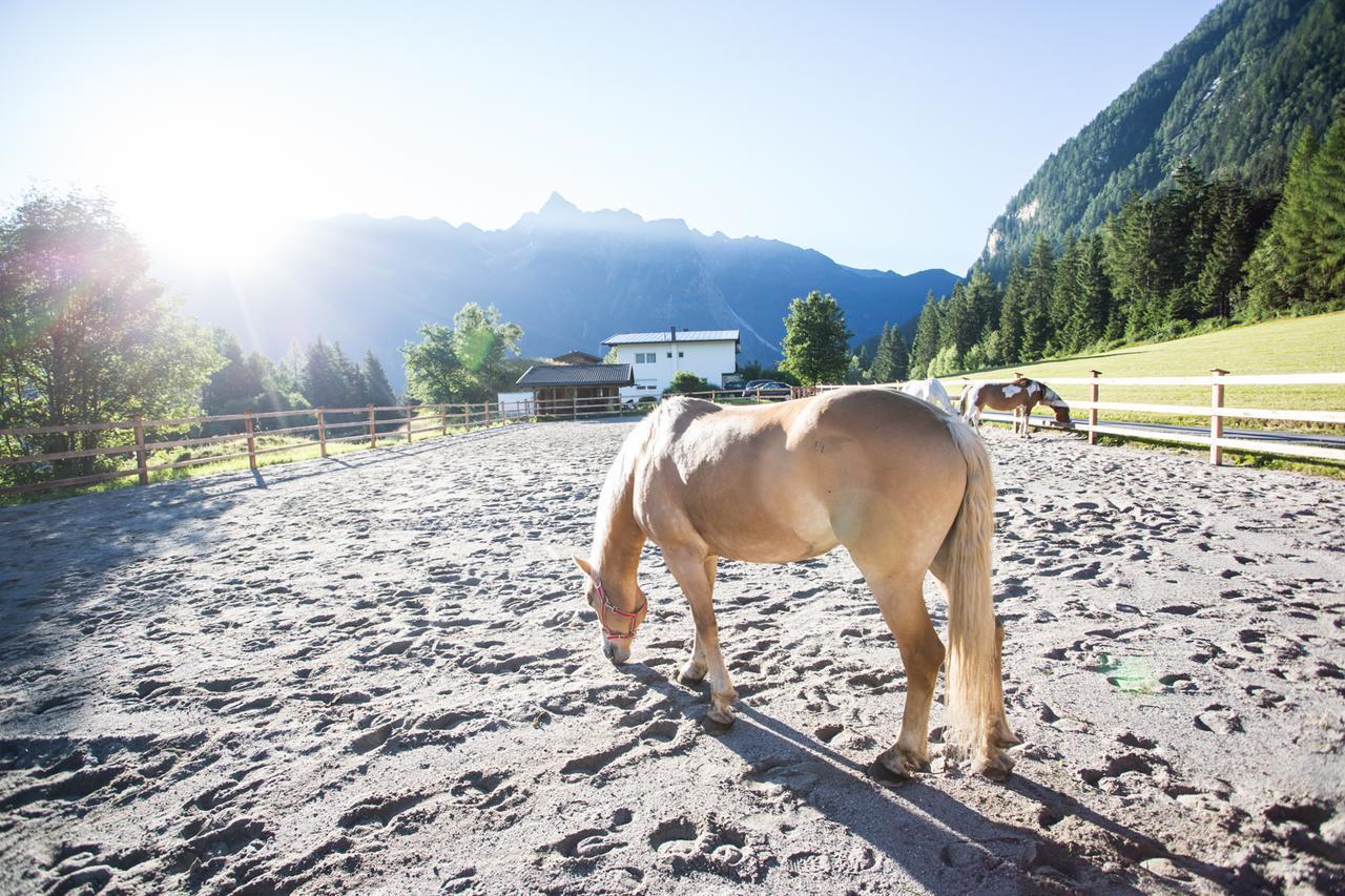 Ferienhaus Oetztal Hotel Sautens Kültér fotó